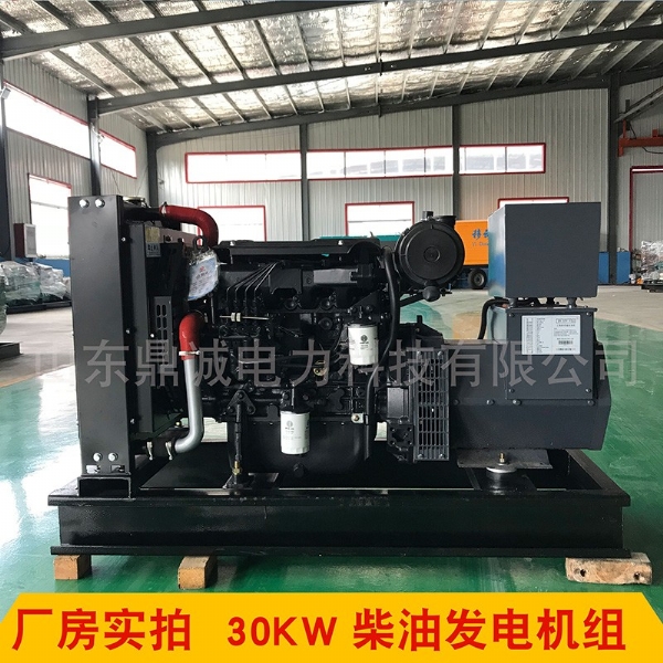 潍柴30KW